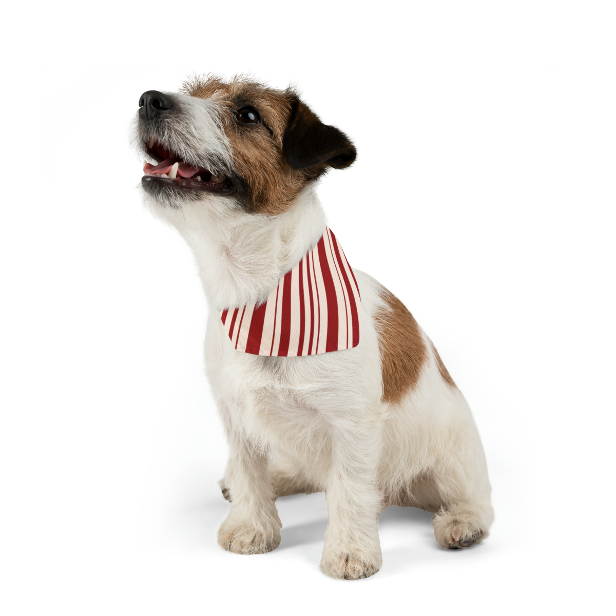 red and white pet bandana collar