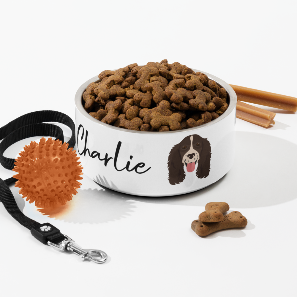 personalized dog bowl – springer spaniel