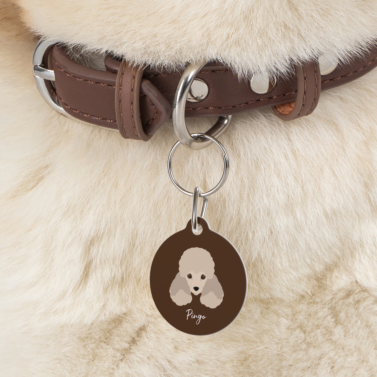 white poodle personalized pet tag