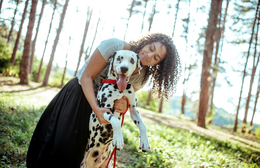 Wondering if your Dalmatian is living their best spotted life? We explore tail wags, playtime preferences, and other signs your furry friend is happy and thriving. Plus, discover fun Printies accessories to add a touch of joy to their day!