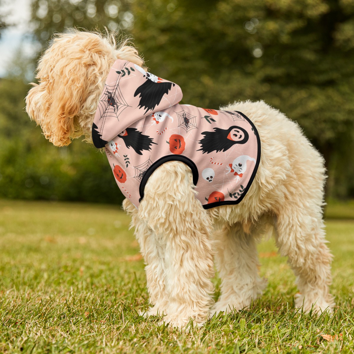 "ghosts and spiders" pet hoodie
