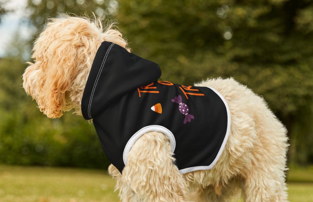 Get your pup ready for Halloween! Explore fun & spooky dog costume ideas & discover the benefits of comfortable Halloween hoodies for dogs. Shop Printies' Halloween Dog Hoodies Now!