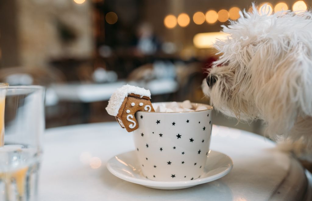 Tired of boring mugs? Unleash your pup's personality with a custom dog mug! Explore breed-specific ideas & discover how Printies helps you design the perfect mug for your furry best friend.